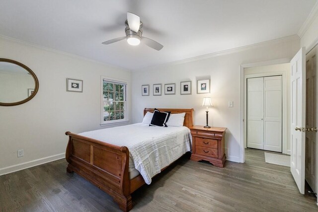 bedroom featuring dark wood-type flooring, ceiling fan, a closet, and crown molding