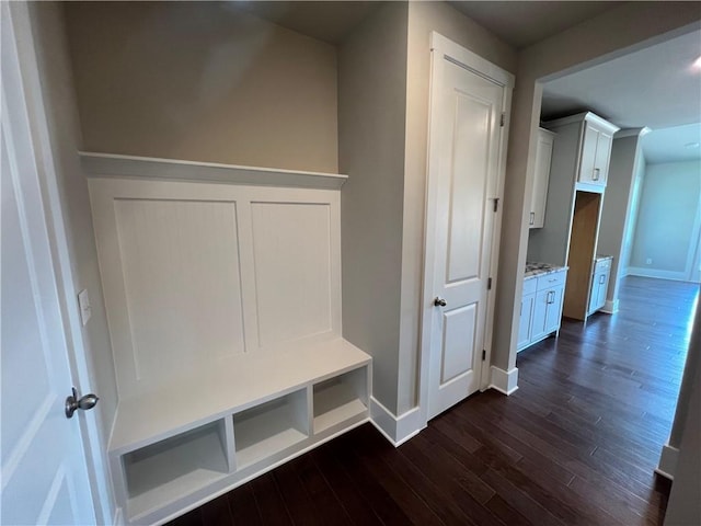 mudroom featuring dark wood-type flooring