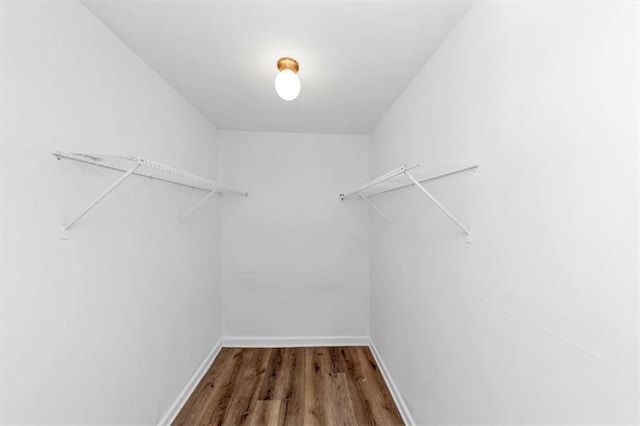 spacious closet with wood finished floors