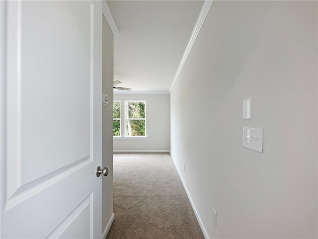 corridor with carpet flooring and ornamental molding