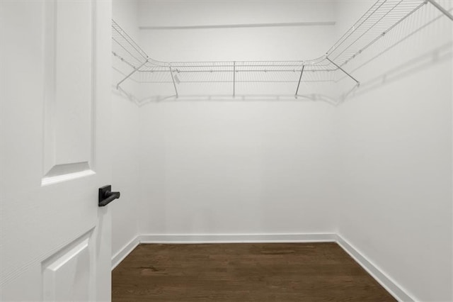 walk in closet featuring dark wood finished floors