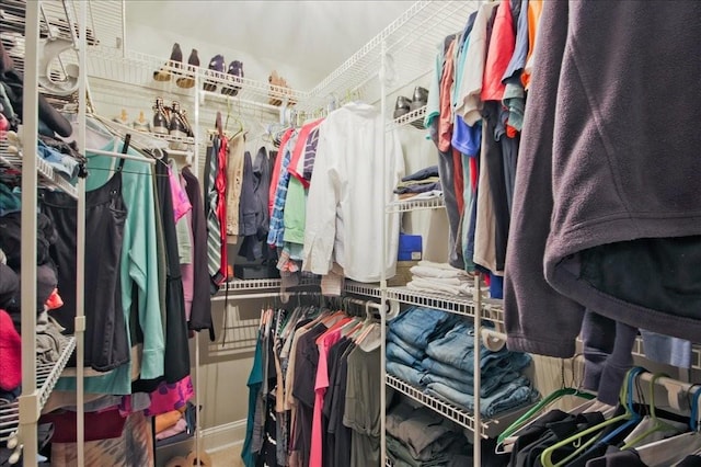 view of spacious closet