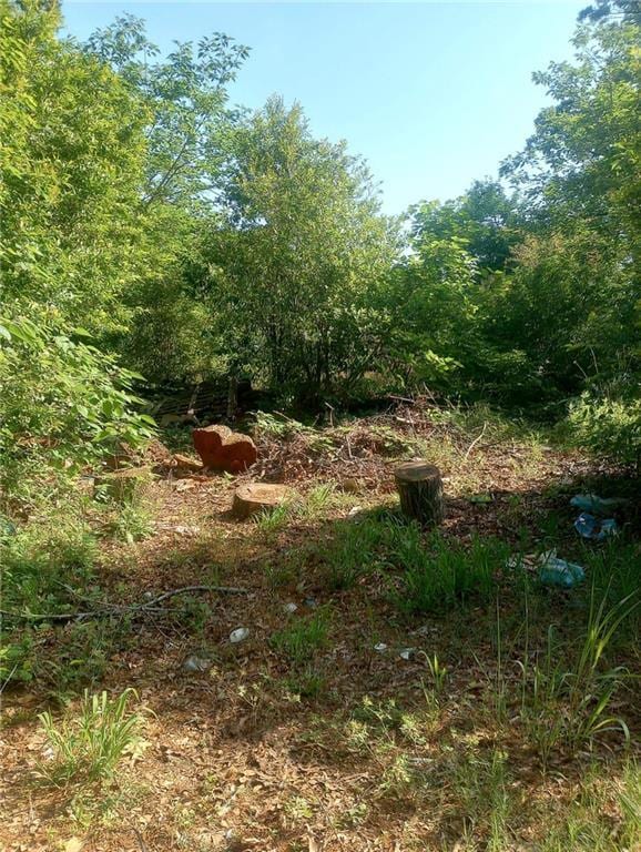 115 Elm St, Griffin GA, 30223 land for sale