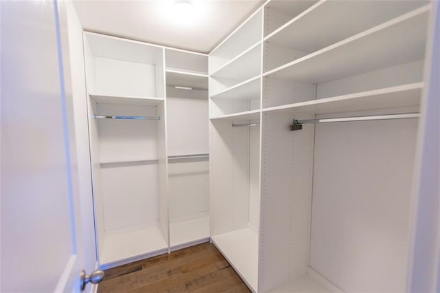 walk in closet featuring wood finished floors