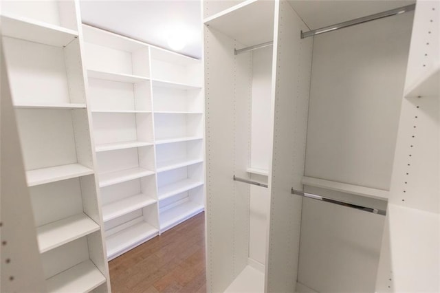 spacious closet featuring wood finished floors