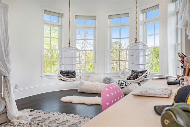 interior space featuring hardwood / wood-style floors