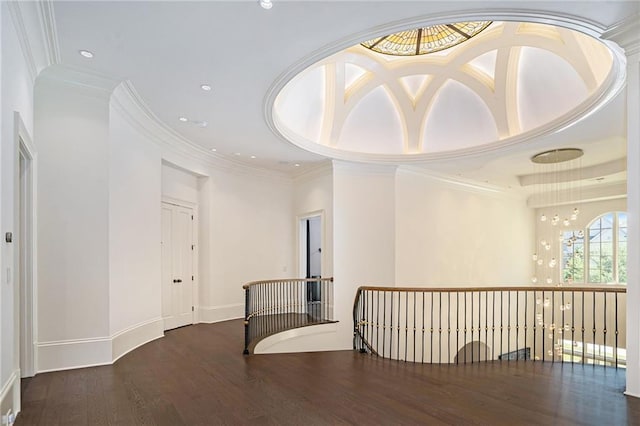 spare room with dark hardwood / wood-style flooring, ornamental molding, and a tray ceiling