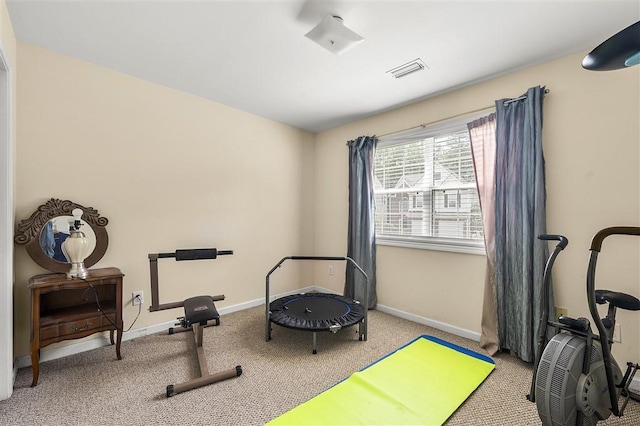 3485 Palisade Lake Dr, Duluth, GA 30096 - exercise room featuring carpet floors and baseboards
