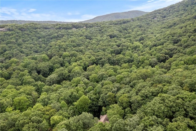 bird's eye view featuring a mountain view