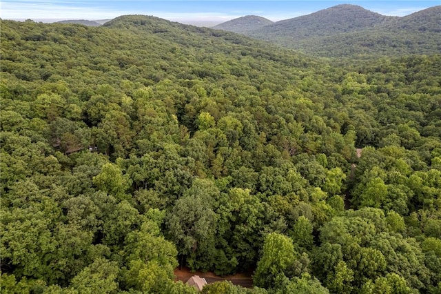 birds eye view of property featuring a mountain view