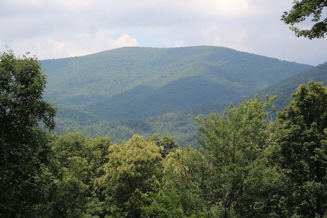 view of mountain feature with a view of trees