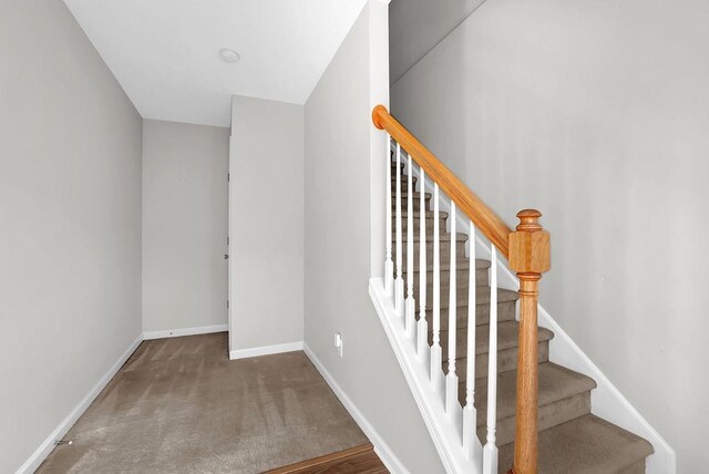 stairway with carpet flooring