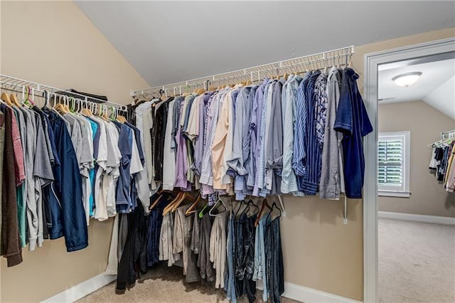 1725 Lynwood Pl, Alpharetta, GA 30004 - spacious closet featuring lofted ceiling and carpet flooring