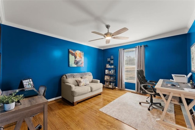 office featuring ceiling fan, ornamental molding, light wood-type flooring, and baseboards