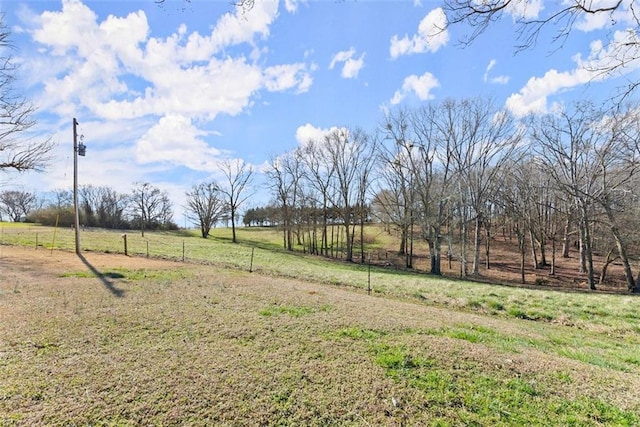 view of yard with a rural view