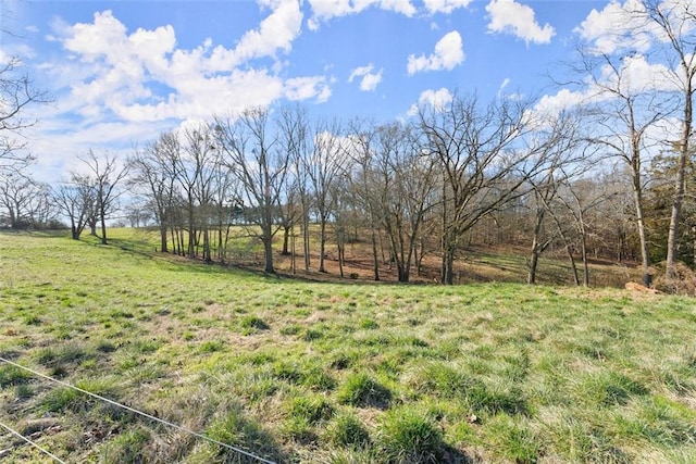 view of yard featuring a rural view