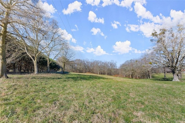 view of yard with a rural view