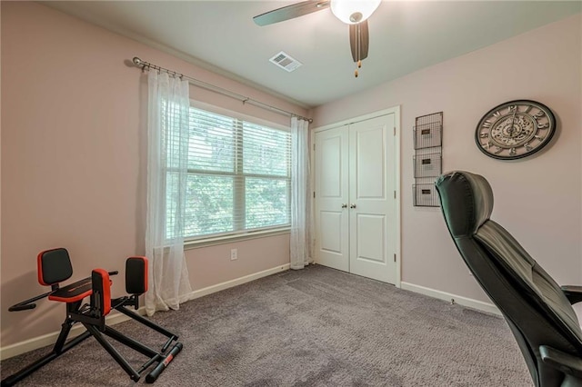 3291 Wild Basil Ln, Buford, GA 30519 - workout area with a ceiling fan and carpet flooring