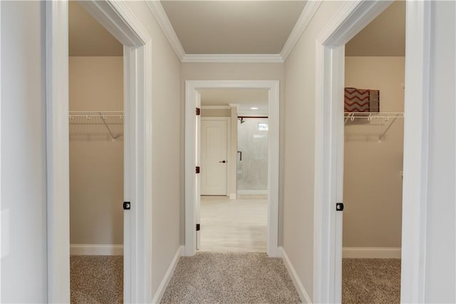 corridor with crown molding and carpet