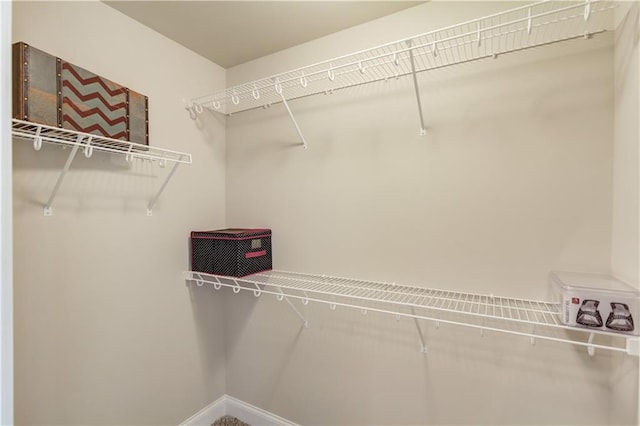 view of spacious closet