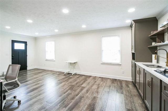 700 Hill Meadow Dr, Dacula, GA 30019 - unfurnished office featuring dark wood finished floors, ornamental molding, a healthy amount of sunlight, and a sink