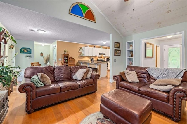 1526 Oakleaf Dr, Auburn, GA 30011 - living area with vaulted ceiling, light wood-style floors, and built in features