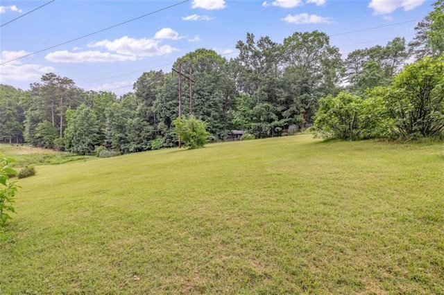 1526 Oakleaf Dr, Auburn, GA 30011 - view of green lawn