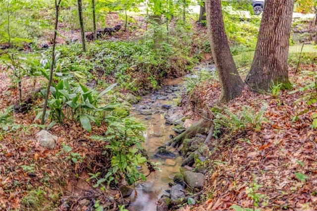 1526 Oakleaf Dr, Auburn, GA 30011 - view of undeveloped land