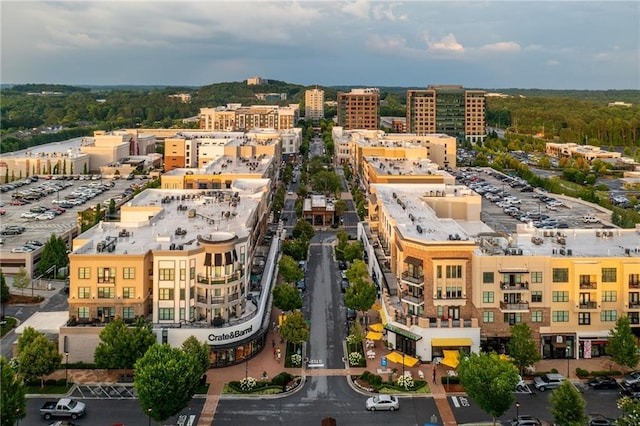 7230 Summit Pl, Alpharetta, GA 30009 - view of urban area