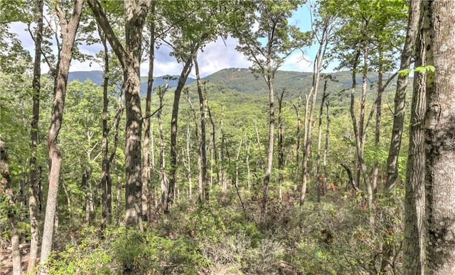 view of local wilderness with a mountain view