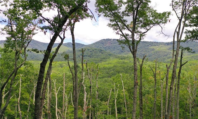 view of mountain feature