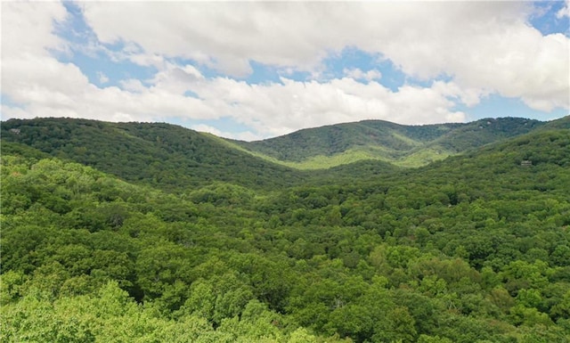 view of mountain feature