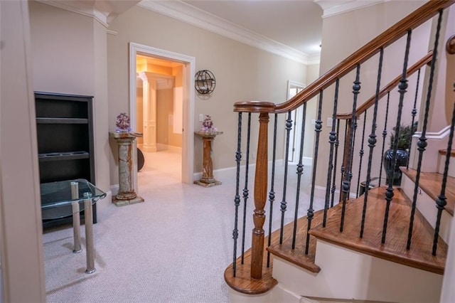 stairway featuring carpet flooring and crown molding