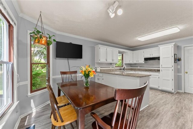 1172 Malvern Hunt Ct, Lawrenceville, GA 30043 - dining area featuring a textured ceiling, light wood-style flooring, baseboards, and ornamental molding