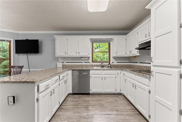 1172 Malvern Hunt Ct, Lawrenceville, GA 30043 - kitchen featuring stainless steel dishwasher, a sink, a peninsula, a textured ceiling, and white cabinetry