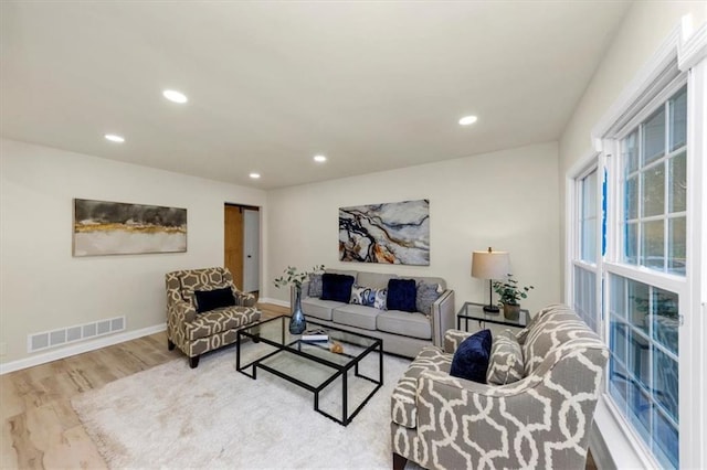 living room with wood-type flooring