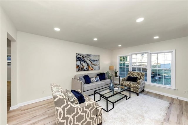 living room featuring light wood-type flooring