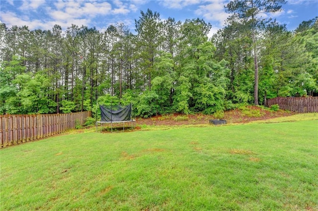 3419 Mulberry Cove Way, Auburn, GA 30011 - view of yard featuring a trampoline