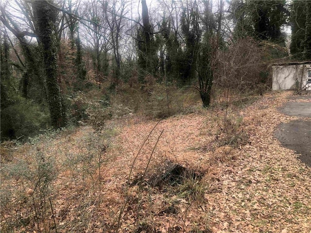 702 Emily Pl Unit 0, Atlanta, GA 30318 - view of undeveloped land