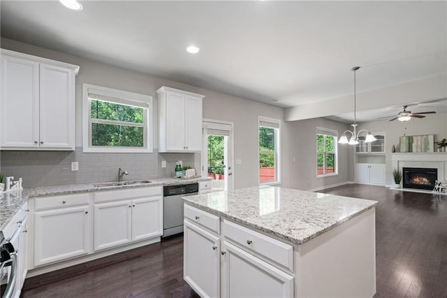 kitchen featuring a sink, stainless steel dishwasher, dark wood finished floors, and white cabinetry