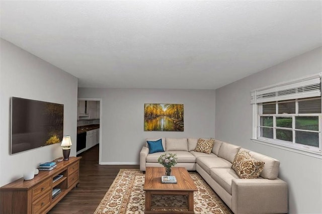 1338 Georgia Ave, Atlanta, GA 30344 - living room featuring dark wood-type flooring and baseboards
