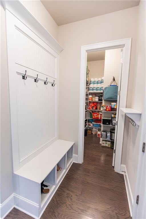 6390 Yellow Birch St, Cumming, GA 30040 - mudroom featuring dark wood finished floors and baseboards