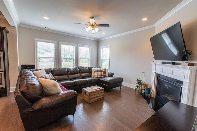 6390 Yellow Birch St, Cumming, GA 30040 - living area featuring a ceiling fan, a glass covered fireplace, ornamental molding, baseboards, and dark wood-style floors