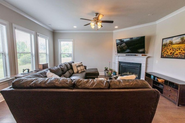 6390 Yellow Birch St, Cumming, GA 30040 - living room featuring wood finished floors, ceiling fan, a glass covered fireplace, recessed lighting, and crown molding