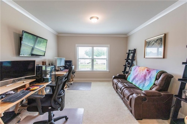 6390 Yellow Birch St, Cumming, GA 30040 - home office featuring ornamental molding, carpet floors, and baseboards