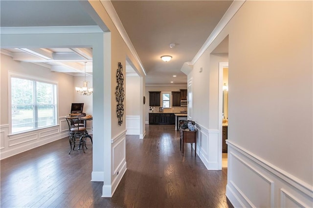 6390 Yellow Birch St, Cumming, GA 30040 - corridor with a chandelier, dark wood-type flooring, crown molding, beamed ceiling, and a wainscoted wall