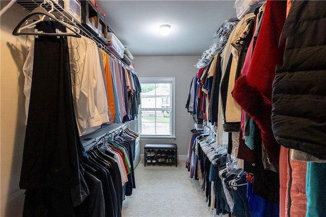 6390 Yellow Birch St, Cumming, GA 30040 - walk in closet with carpet flooring