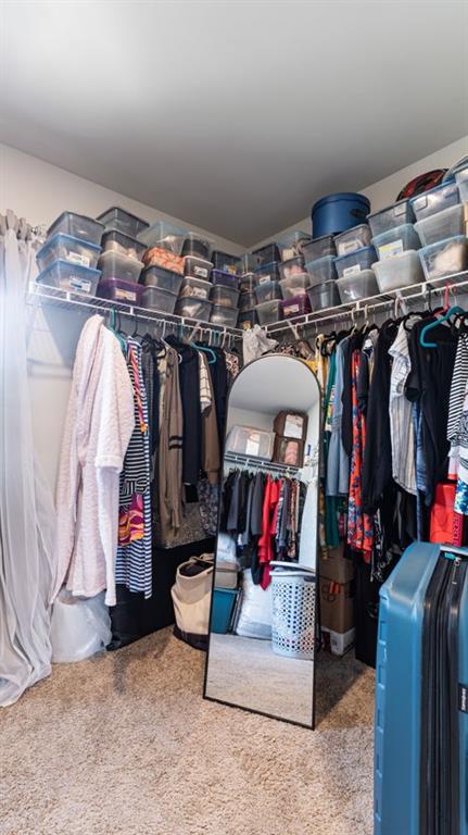 spacious closet with carpet