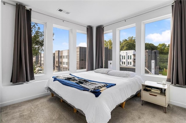 395 Pratt Dr SE Unit No 802, Atlanta, GA 30315 - bedroom featuring multiple windows, baseboards, and carpet flooring