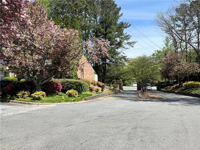 view of road with curbs